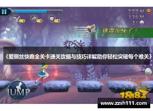 《爱丽丝快跑全关卡通关攻略与技巧详解助你轻松突破每个难关》